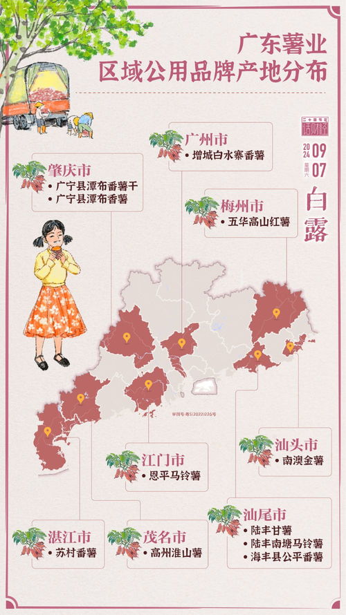 白露將至，廣東薯豐盈登場國際薯博會(huì)