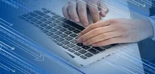 Java與網(wǎng)絡(luò)安全 從零基礎(chǔ)入門(mén)到精通，就業(yè)前景全面解析